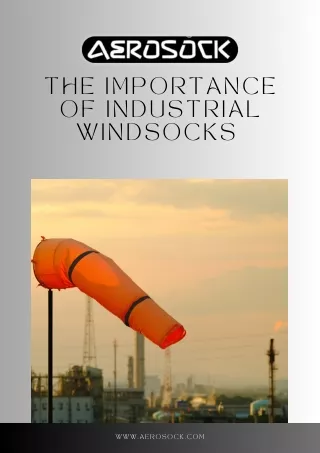 Get Top-Quality Industrial Windsocks | Aerosock Inc.