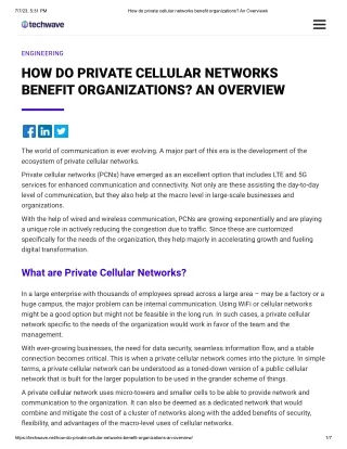 What is a private cellular network