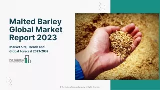 Malted Barley Market 2023 - Industry Size, Future Insights, Growth Drivers