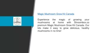 Magic Mushroom Grow Kit Canada Shroombox.co