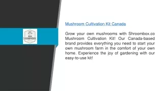 Mushroom Cultivation Kit Canada Shroombox.co