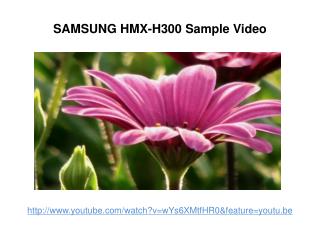 samsung hmx-h300 sample video