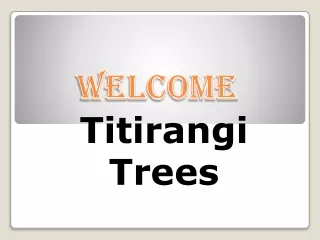 Want to get the Best Tree Removal Service in Titirangi