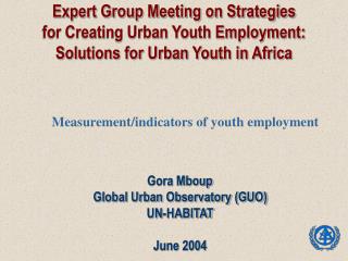 Expert Group Meeting on Strategies for Creating Urban Youth Employment: Solutions for Urban Youth in Africa
