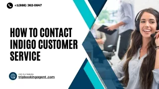 How to Contact IndiGo Customer Service