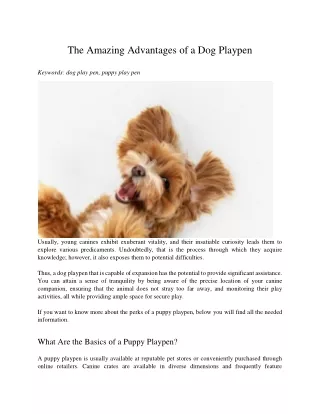 The Amazing Advantages of a Dog Playpen