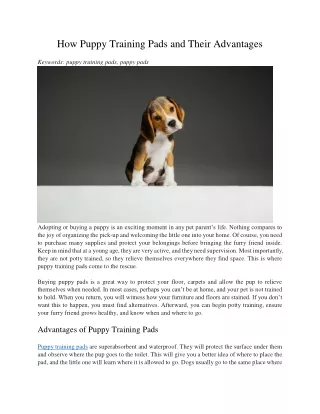 How Puppy Training Pads and Their Advantages