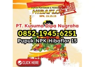 SATU-SATUNYA! WA 0852-1945-6251 Pemasok Jual Pupuk NPK Hibaflor Hasil Terbukti Efektif Cimahi