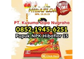 SOLUSI! WA 0852-1945-6251 Penjual Pupuk NPK Hibaflor Kalium Tinggi Cirebon