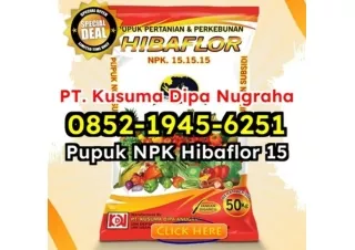 TERLENGKAP! WA 0852-1945-6251 Penjual Pupuk NPK Hibaflor Yang Mudah Diserap Tanaman Karawang