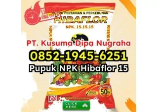 TERBUKTI! WA 0852-1945-6251 Pusat Jual Pupuk NPK Hibaflor Kualitas Terjamin Karawang