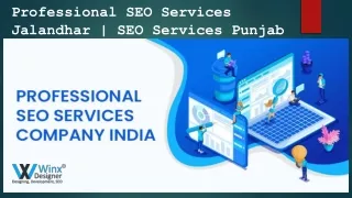 Professional SEO in Punjab