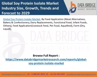 Global Soy Protein Isolate Market