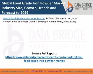 Global Food Grade Iron Powder Market