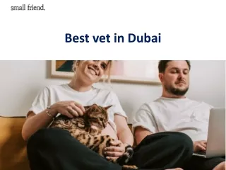 Best vet in Dubai