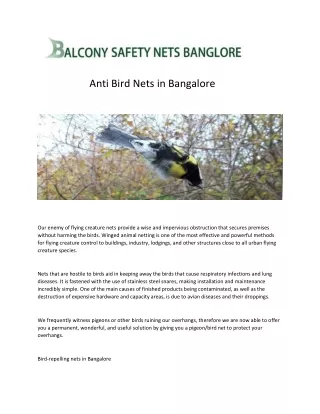 Anti Bird Nets in Bangalore (2)