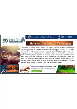 Houston Ant Control Techniques