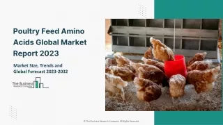 Poultry Feed Amino Acids Market Research 2023 - Industry Analysis, Size, Share