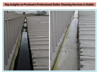 Key Insights on Proclean's Professional Gutter Cleaning Services in Dublin