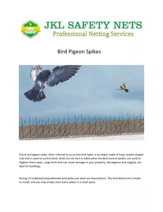 bird pigeon spikes.txt