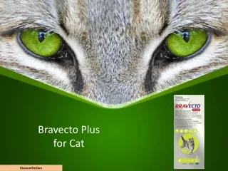 Bravecto Plus for Cats | All-in-one spot-on treatment for your cat