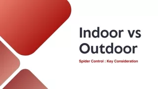 Indoor vs Outdoor Spider Control