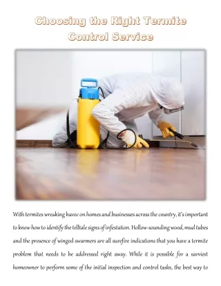 Choosing the Right Termite Control Service