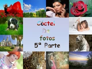 Obrazkovy mix - Coctel de fotos (Olga T.) 5