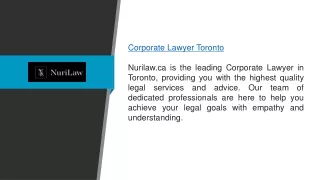Corporate Lawyer Toronto  Nurilaw.ca