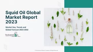 Squid Oil Market Opportunity Assessment And Forecast To 2032