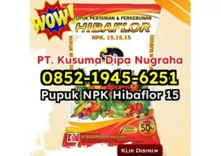 DISKON! WA 0852-1945-6251 Yang Jual Pupuk NPK Hibaflor Untuk Meningkatkan Daya Tahan Tanaman Jakarta Selatan