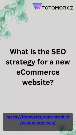 What is the SEO strategy for a new eCommerce website