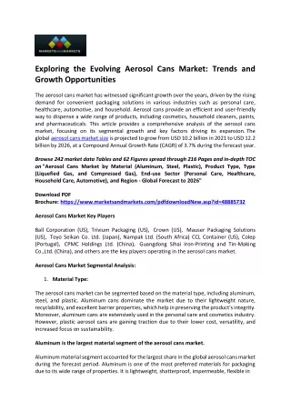 Embracing the Boom: Growth Opportunities in the Aerosol Cans Market