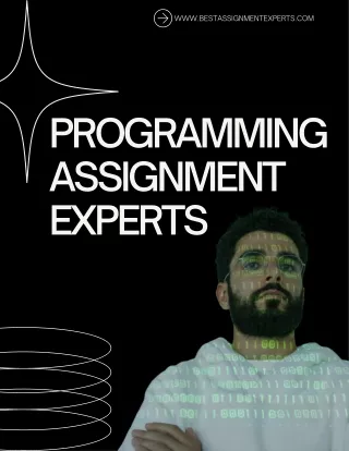 programming assignment experts