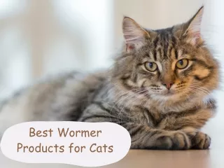 Best Wormer Products for Cats