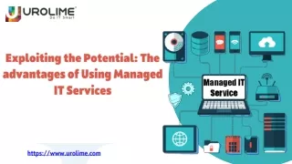 Exploiting the Potential The advantages of Using Managed IT Services-UK (1) (1)