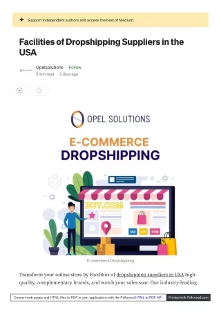 The  Guide to Mastering Dropshipping in the USA