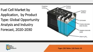 Fuel Cell Market