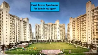 Essel Tower Apartment for Sale Gurgaon | Essel Tower