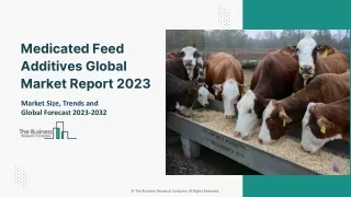 Medicated Feed Additives Global Market 2023 : By Top Leaders Analysis, Segments