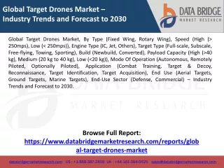 Global Target Drones Market