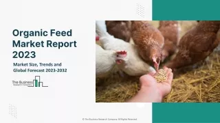 Organic Feed Global Market Size, Share, By Type, By Form, By Livestock, By Source, By Additives, Opportunity Analysis an