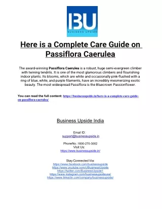Here is a Complete Care Guide on Passiflora Caerulea