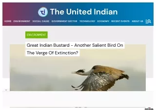 Great Indian Bustard