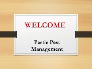 Pestie Pest Management