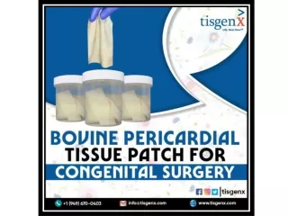 Bovine Pericardial Tissue Patch for congenital surgery