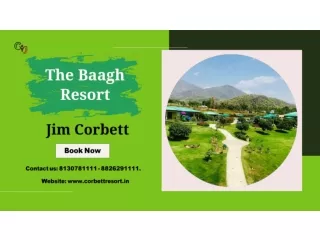 The Baagh Resort in Jim Corbett | Destination Wedding in Jim Corbett
