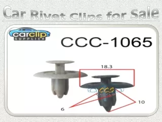 Car Rivet Clips for Sale