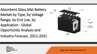 Absorbent glass mat battery Market