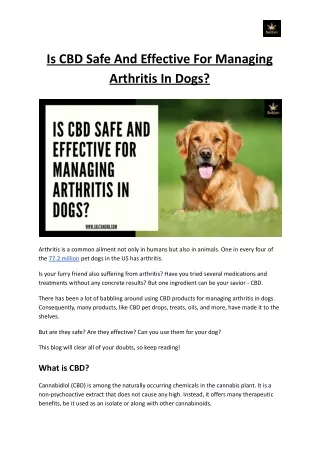 Is CBD Safe And Effective For Managing Arthritis In Dogs